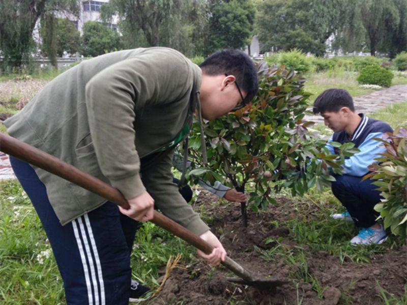 梓桐園藝社開展“我為學(xué)校添新綠”植樹活動(dòng)